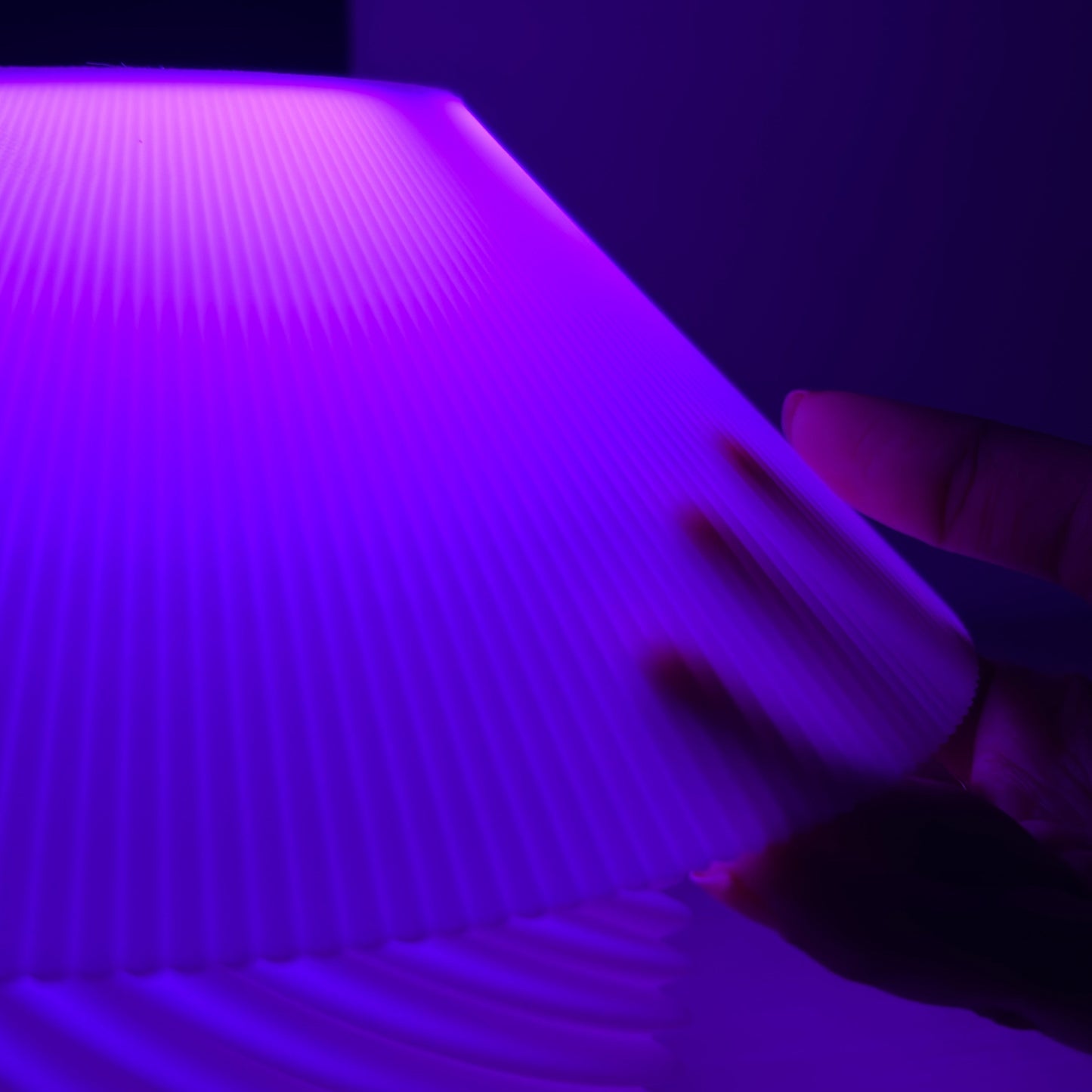 Mushi by Studio Xenon